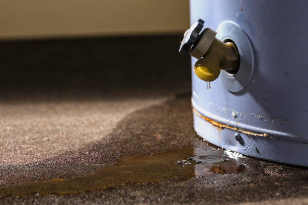 Best Professional water damage repair  in Spanish Fort, AL