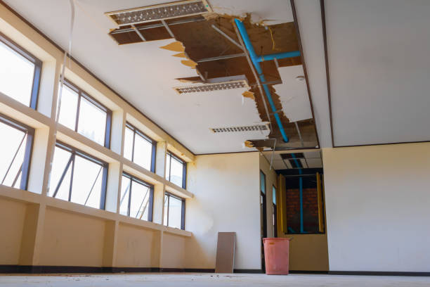  Spanish Fort, AL Water damage restoration Pros