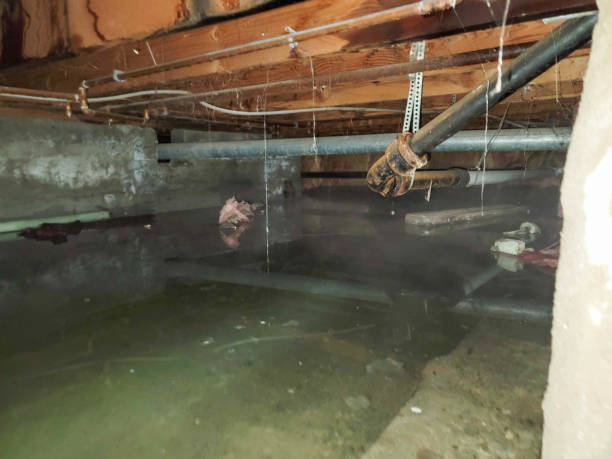 Best Water damage restoration insurance claims  in Spanish Fort, AL