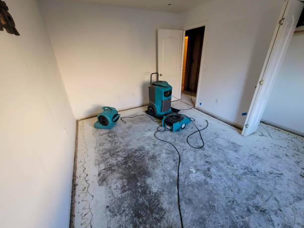 Best Sewage cleanup and water damage restoration  in Spanish Fort, AL
