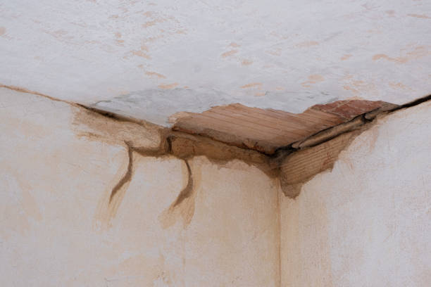 Best 24-hour water damage restoration  in Spanish Fort, AL