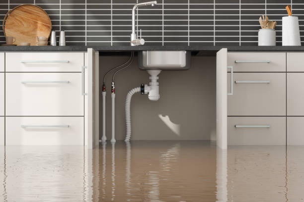 Best Fire Damage Restoration  in Spanish Fort, AL