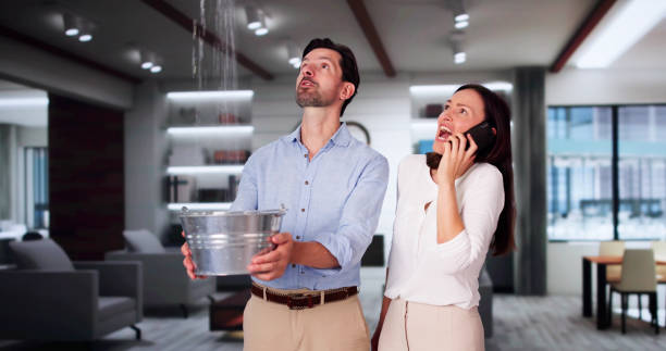 Best Basement water damage restoration  in Spanish Fort, AL